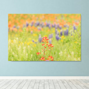 Toile Floral Bluebonnet Photo du Texas Hill Country