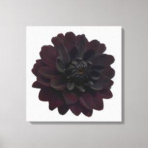 Toile Floral moderne Fleur noire Dahlia