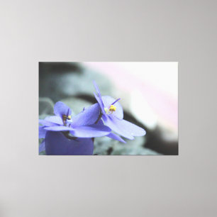 Toile Florale violette