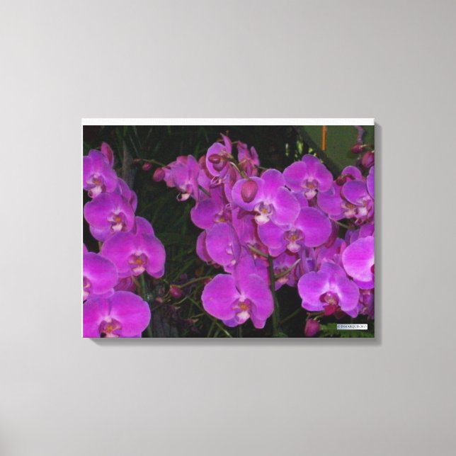 TOILE FLORE COLORÉE #3 (Recto)