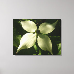 Toile Flore printanière du Dogwood illuminé