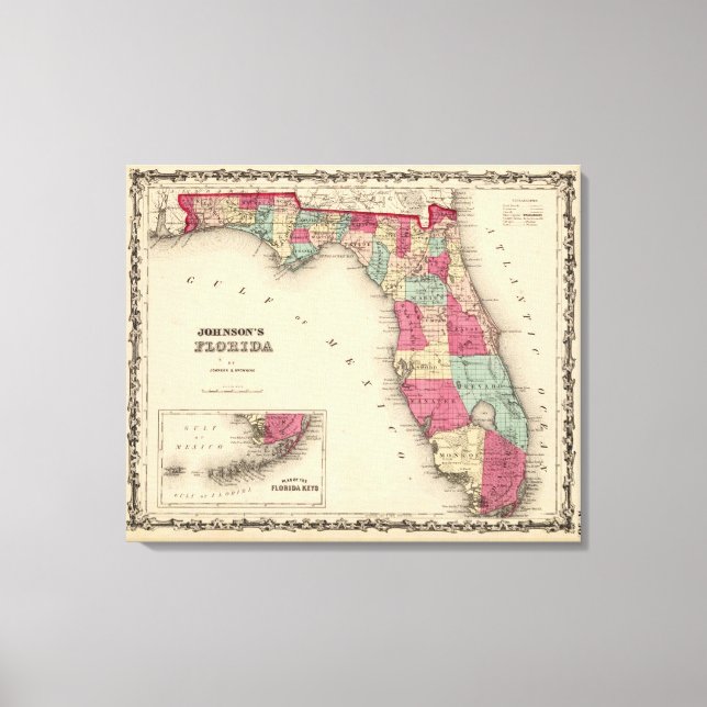 Toile Floride 11 (Recto)