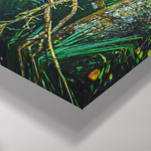 Toile "Floride Backwoods" Wall Art