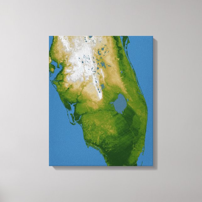 Toile Floride du sud (Recto)
