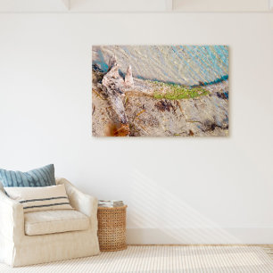 Toile Floride Keys Bahia Honda Driftwood Shore