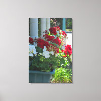Flower Box Geraniums - Martha's Vineyard