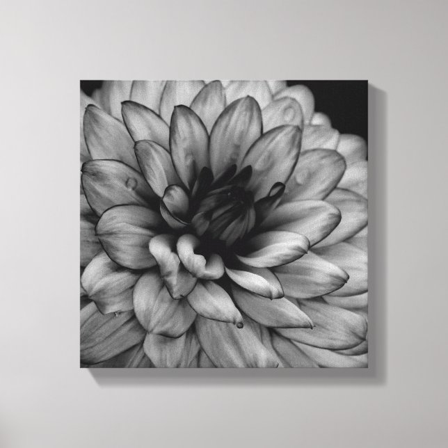 Toile Flower Dahlia (Recto)