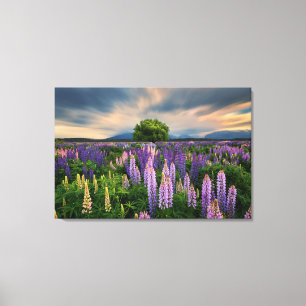 Toile Flowers (homonymie)   Lupine Field à New Zealand