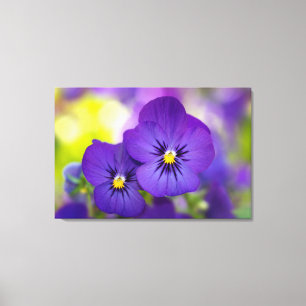 Toile Flowers (homonymie) Purple Pansies