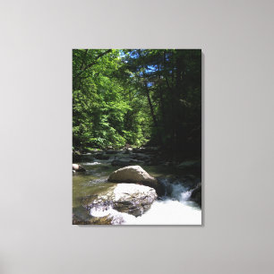 Toile Flux de montagne