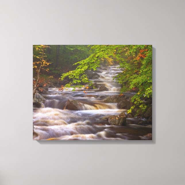 Toile Flux le long du sentier des Appalaches (Recto)