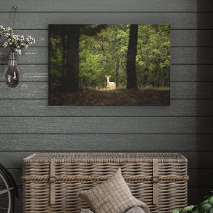 Toile Forest A White Tailed Deer in the Woods