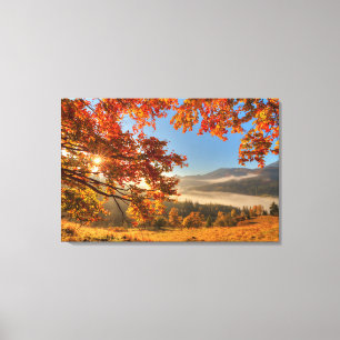 Toile Forêt d'automne dans les montagnes