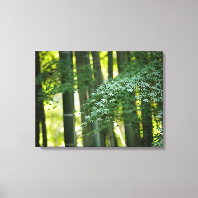 Toile Forêt de bambou japonais calme (Recto)