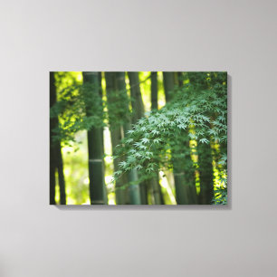 Toile Forêt de bambou japonais calme