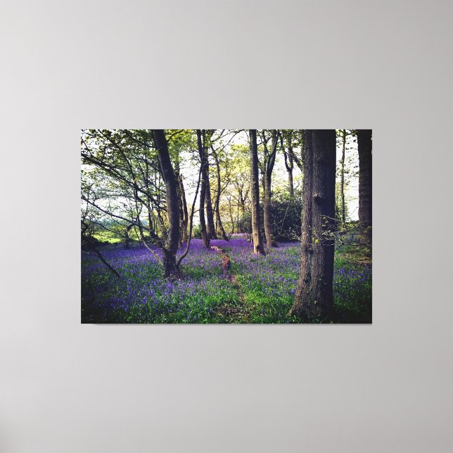 Toile Forêt de Bluebells Floral moderne élégant (Recto)