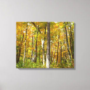Toile Forêt de feuilles jaunes Paysage d'automne