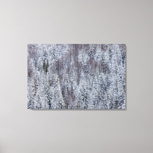 Toile Forêt de neige, Parc national du Mont-Rainier