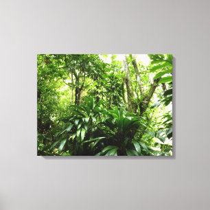 Toile Forêt de pluie dominicaine I Nature verte tropical