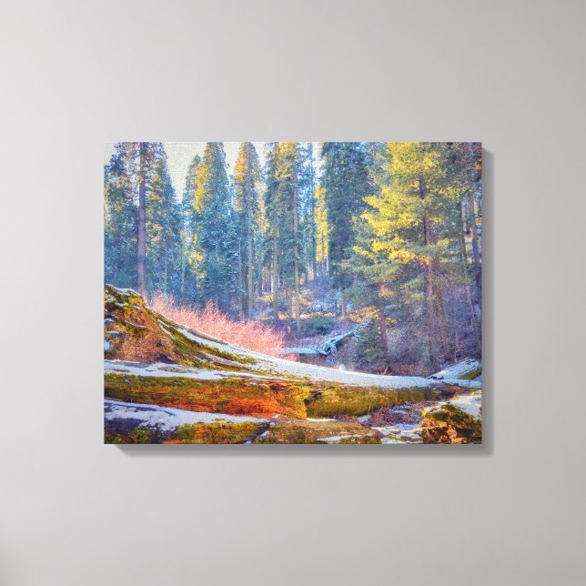 Toile Forêt de Sequoia (Recto)
