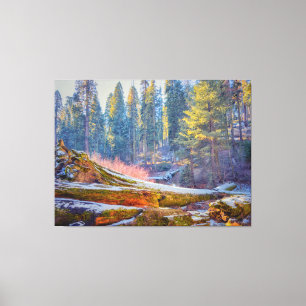 Toile Forêt de Sequoia