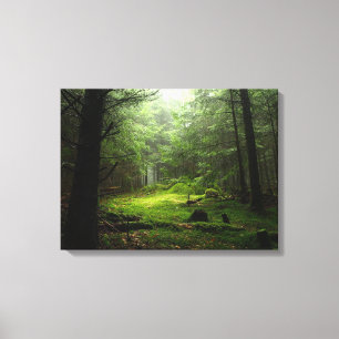 Toile Forêt de Sterious