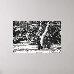 Toile Forêt D'Hiver, Neige, Birch Et Épinette