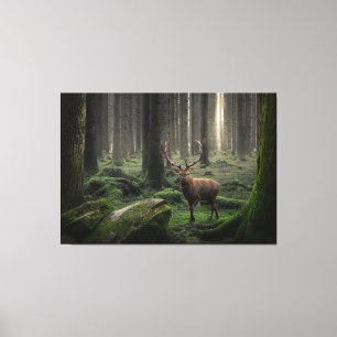 Toile Forêt d'Imaginaire éthéré avec lumière radiante