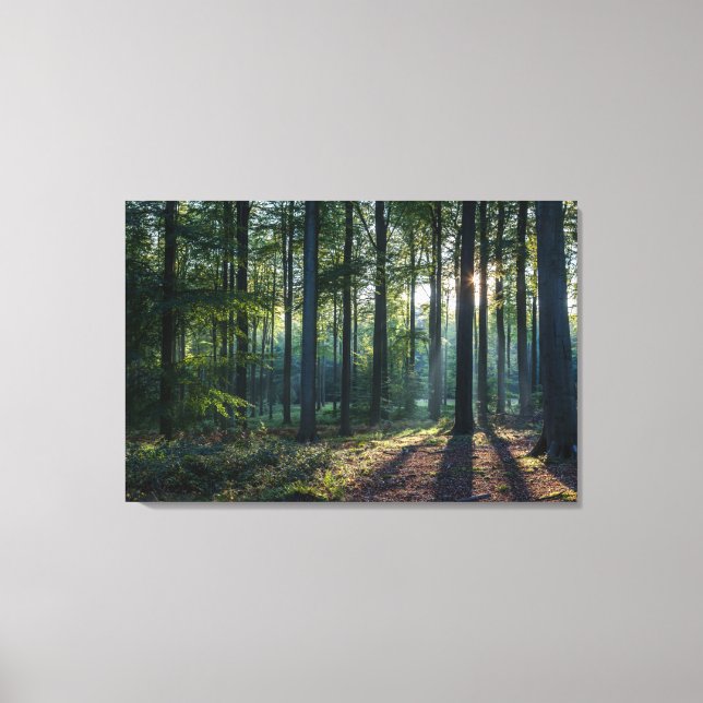 Toile Forêt | Forêt Noire Allemagne (Recto)