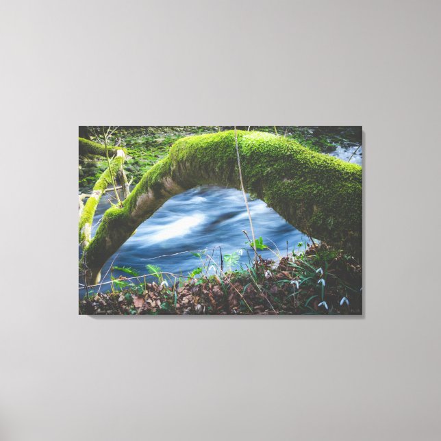 Toile Forêt magique enchantée (Recto)