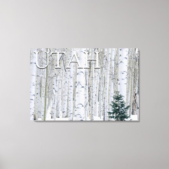 Toile Forêt nationale de Manti-LaSal, Utah (Recto)
