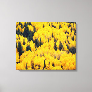 Toile Forêt nationale de White River Aspen, Colorado
