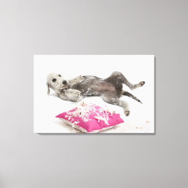 Toile Formation sur le comportement des chiens (Recto)