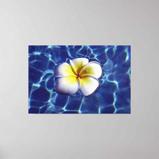 Toile FRANGI FLOTTANT 40x60 (Recto)