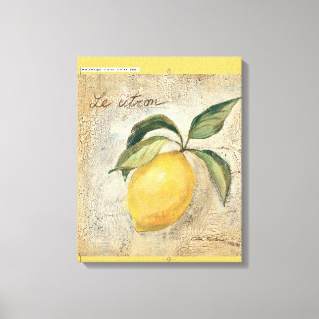 Toile Fruit de citron jaune (Recto)
