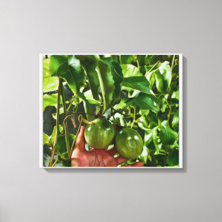 Toile Fruit Vert