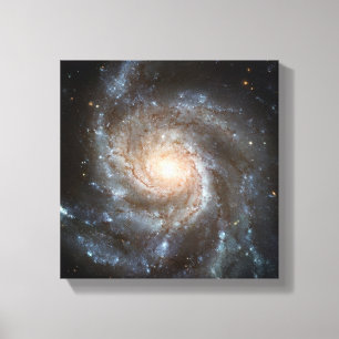 Toile galaxie du Tourbillon télescope Hubble photo d'esp