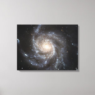 Toile Galaxie spirale Messier 101