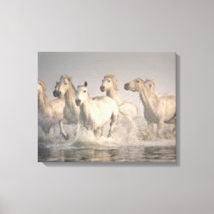 Toile Galloping à cheval dans l'eau méditerranéenne