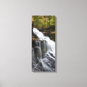 Toile Ganoga Falls 10 po x 24 po x 75 po