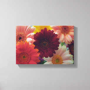 Toile Gerbera Daisy Flower Photo Canvas Wall Art Imprime