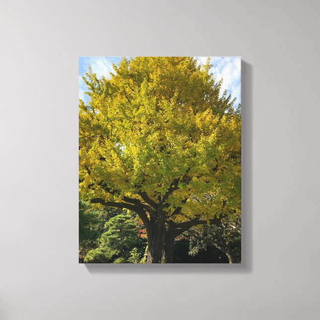 Toile Ginkgo Tree of Golden Yellow (Recto)