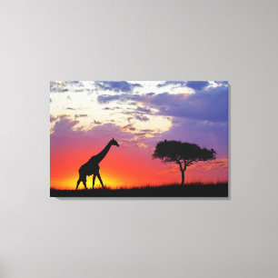 Toile Girafe en silhouette au lever du soleil, Giraffa