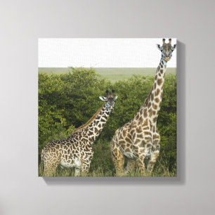 Toile Girafes au Kenya, Afrique