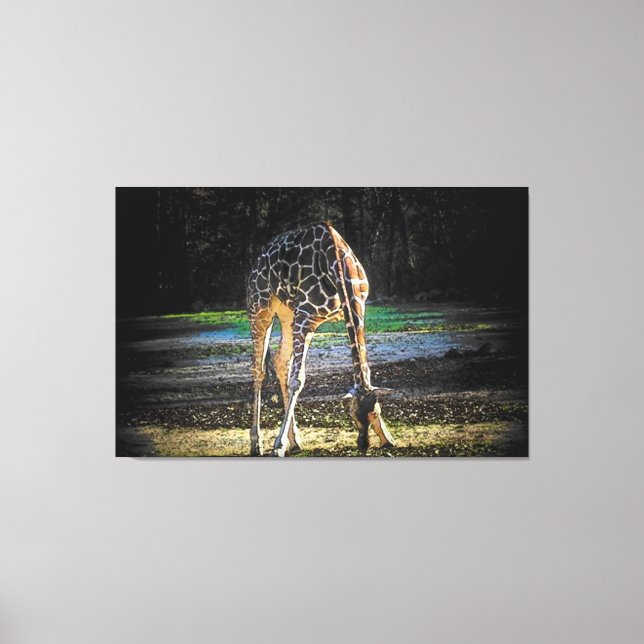 Toile Giraffe 2Design (Recto)