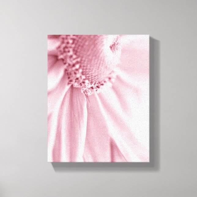 Toile Gloriosa Daisy Macro (Recto)