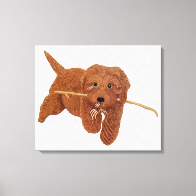 Toile Golden Doodle  (Recto)