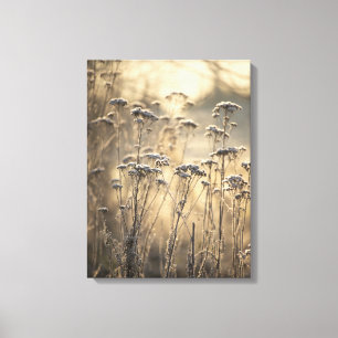 Toile Golden Frosty Matin Flamand Campagne