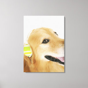 Toile Golden retriever écoutant la musique