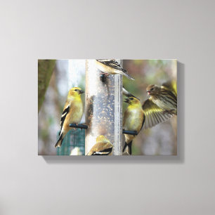 Toile Goldfinches au chargeur